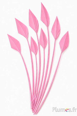 Cigno freccia - 20-30 cm - rosa 